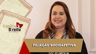 Explica Direito Filiação Socioafetiva  2019 [upl. by Drauode]