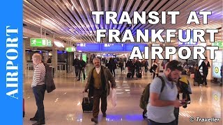 TRANSIT WALK AT FRANKFURT Airport FRA Terminal 1  Connection Flight Transfer Arriving amp Departing [upl. by Mailliw]